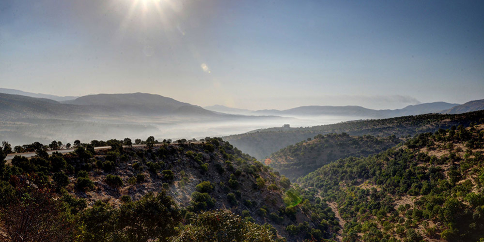 Sarsang Early Morning